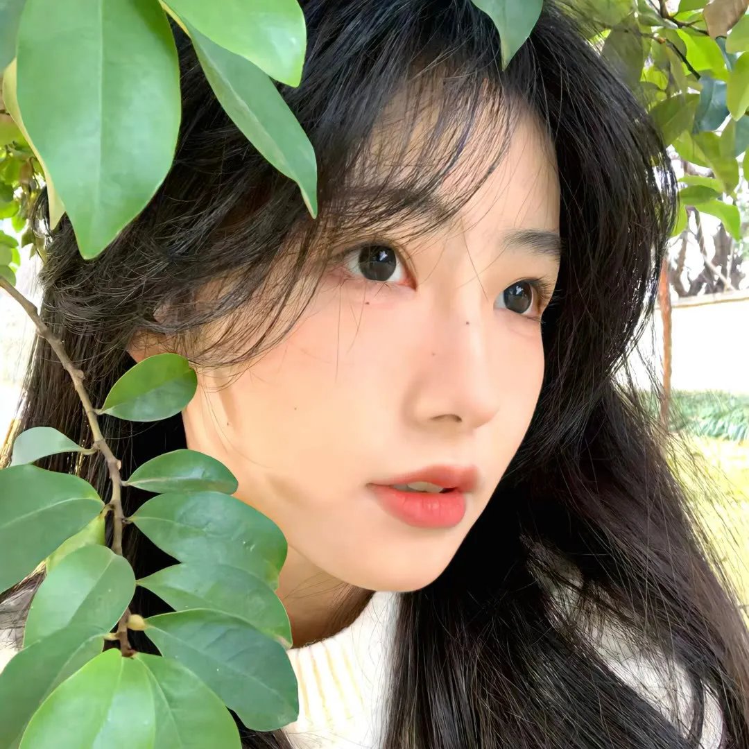 人民的名义